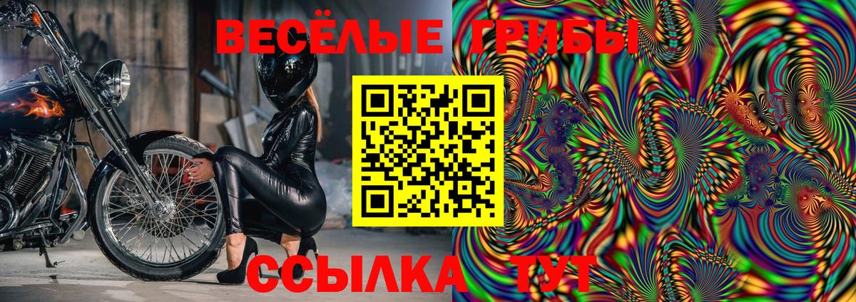 Галлюциногенные грибы GOLDEN TEACHER Лыткарино